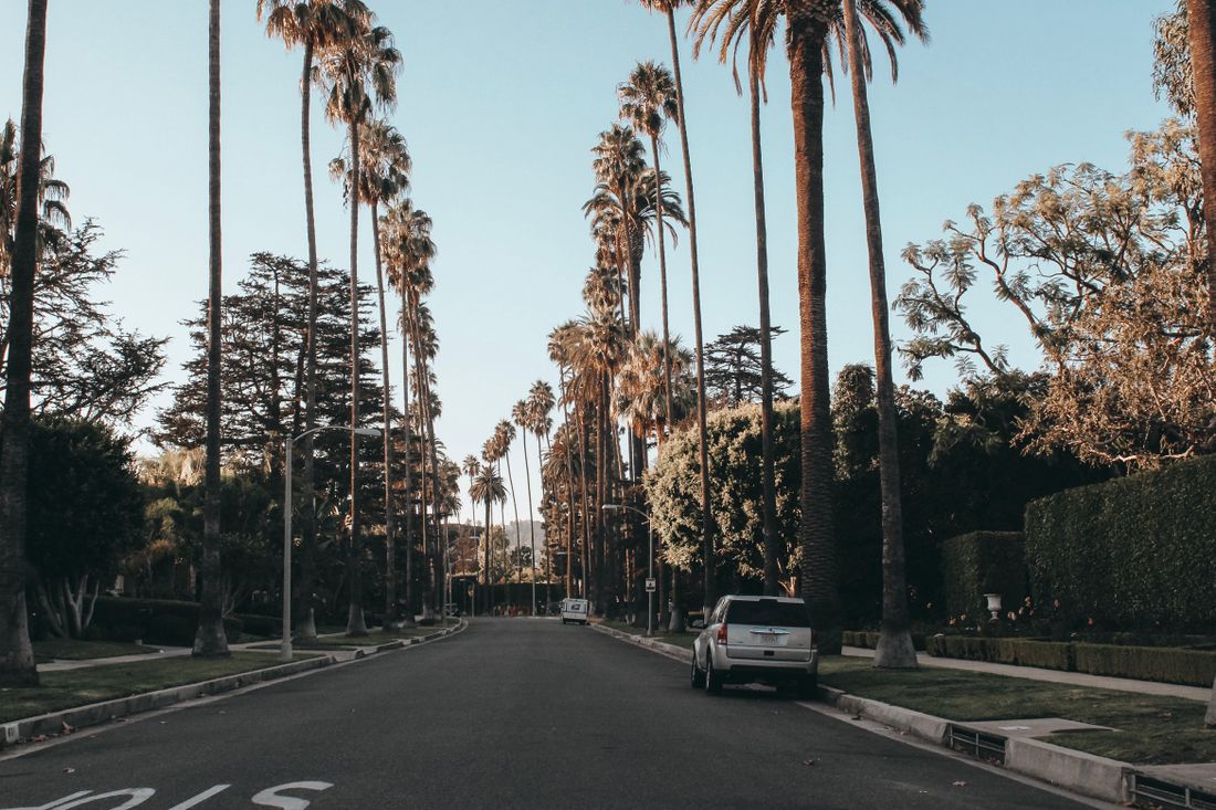 Palm-lined street in Beverly Hills at dusk
